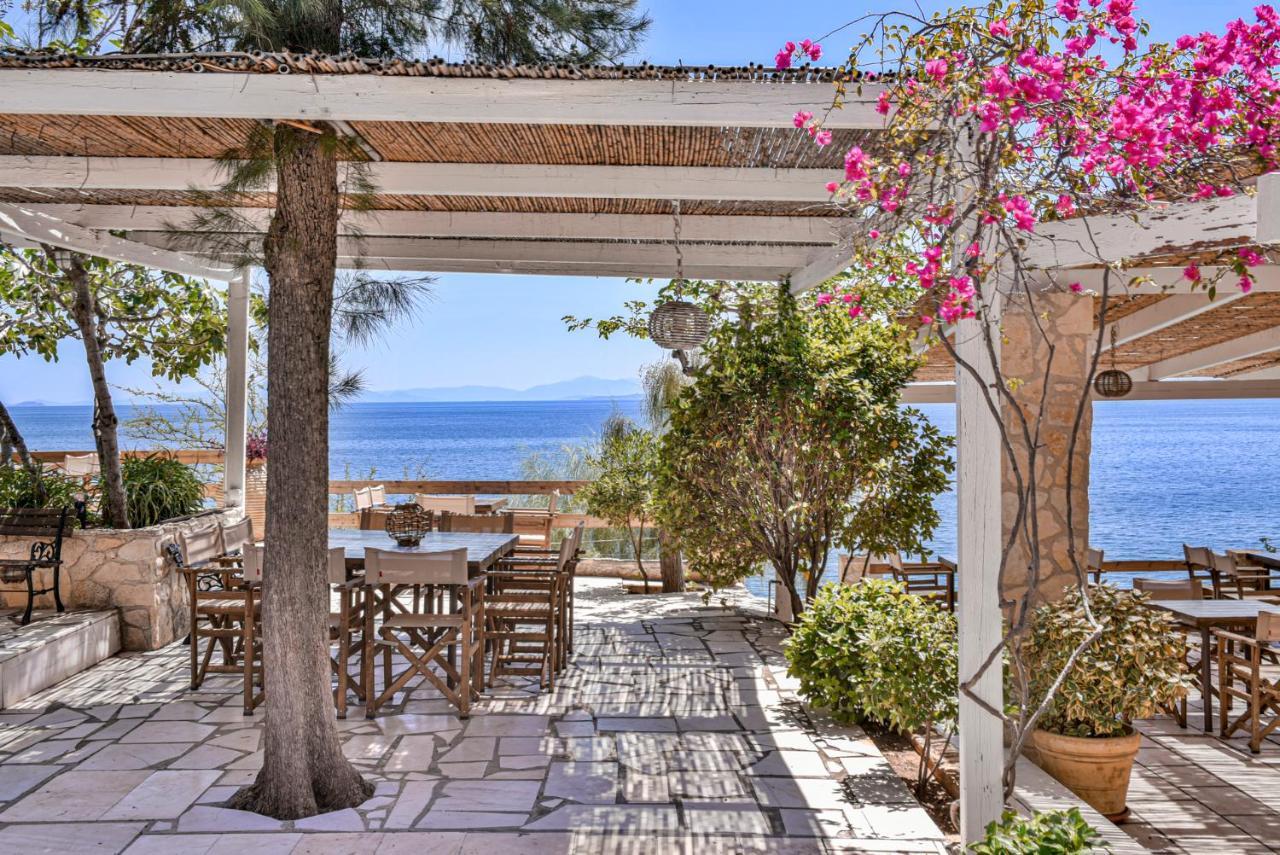 κοκκίνης 3*